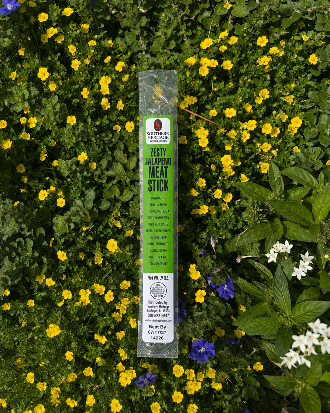 Zesty Jalapeno